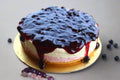 Blueberry Cheesecake