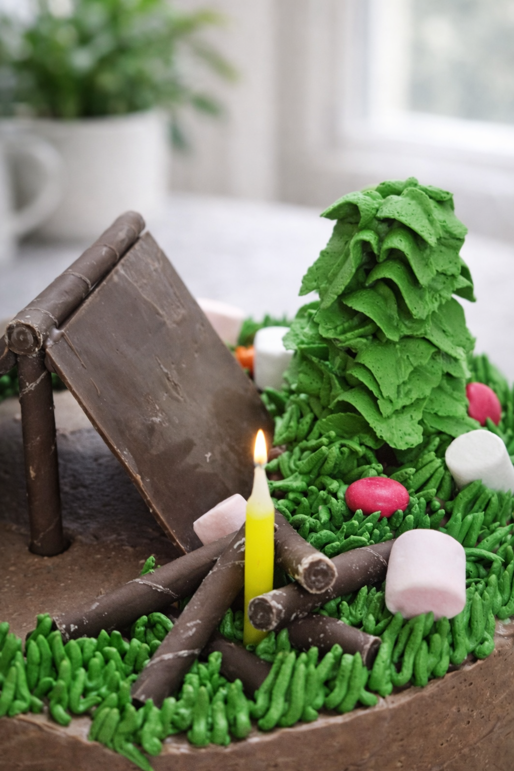 Camping Cake : Birthday Cake