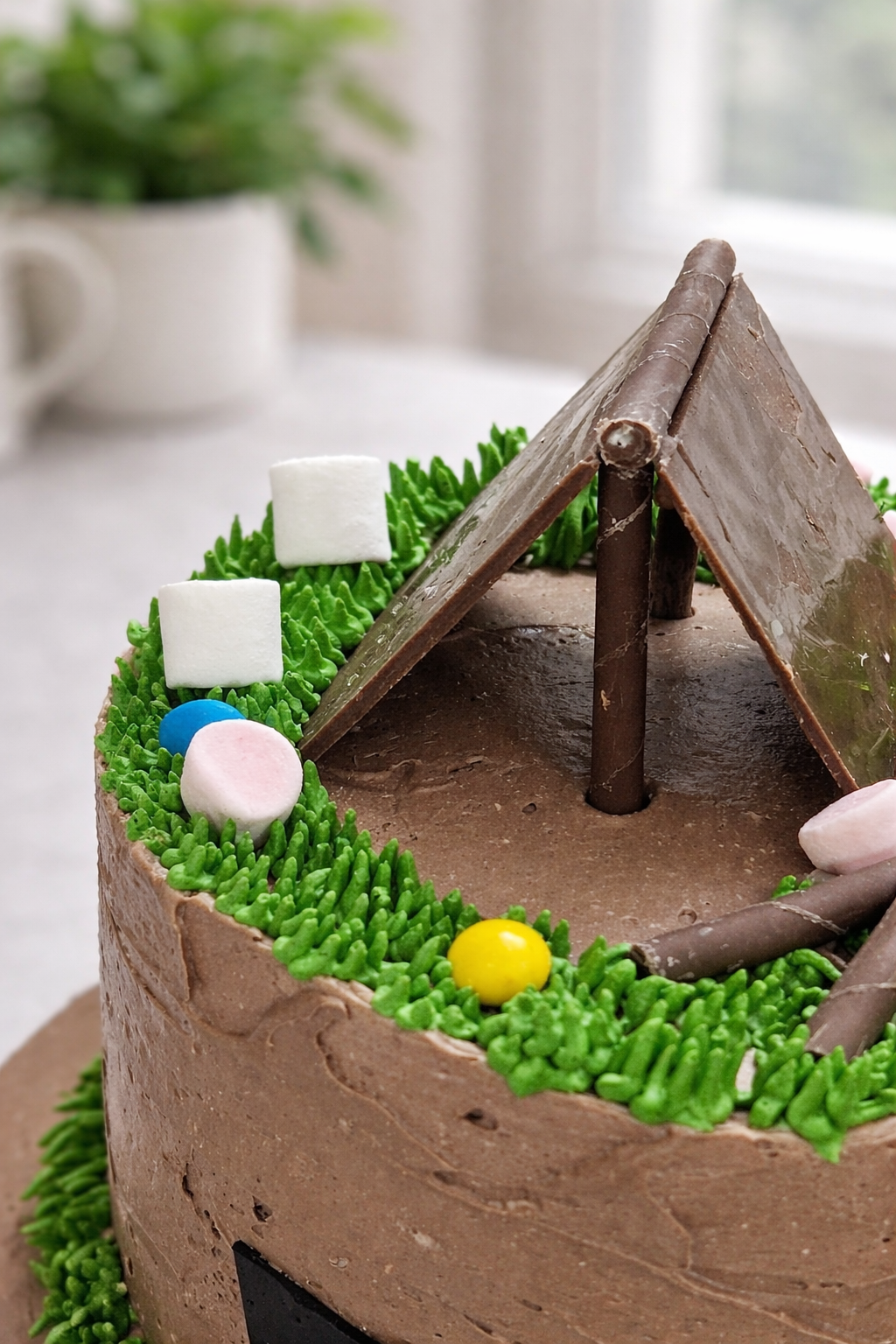 Camping Cake : Birthday Cake